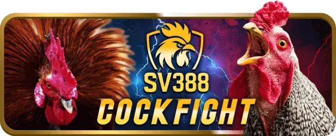 Biểu đồ minh họa các loại dữ liệu được Fabet88 khuyến mãi thu thập
